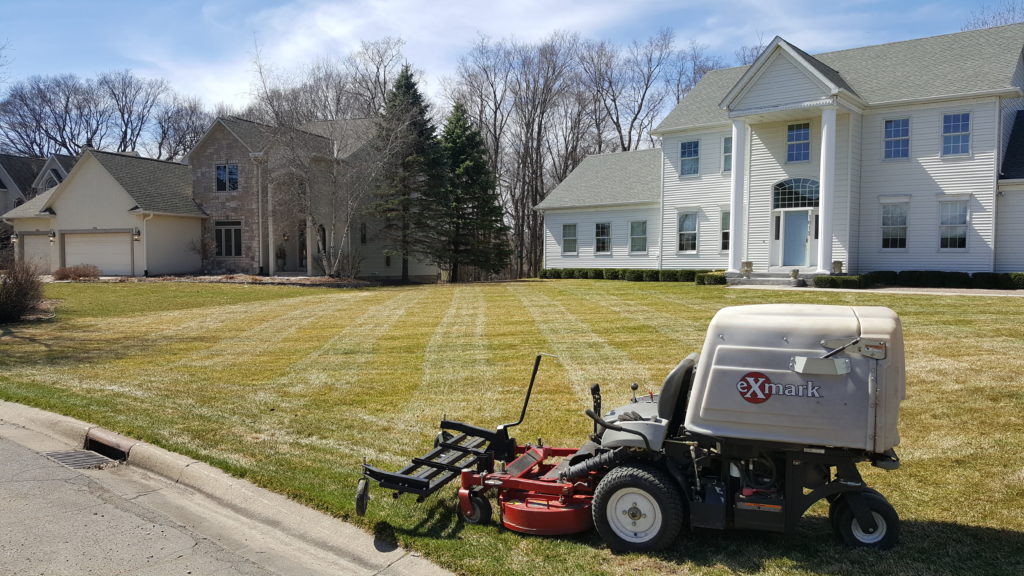 Lawn Dethatching Service