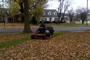 Lawn Service leaf cleanup