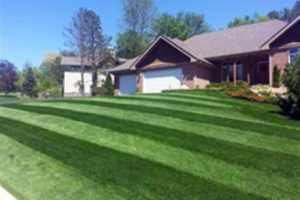 Local Lawn Service Lawn Maintenance