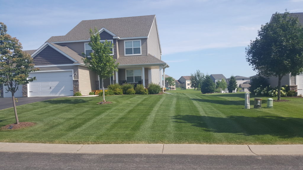 Mn Lawn Service