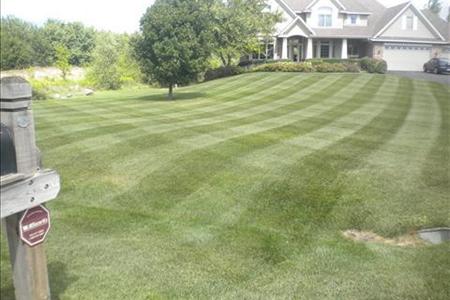 How Much Does It Cost To Have A Local Lawn Mowing Service Near Me?