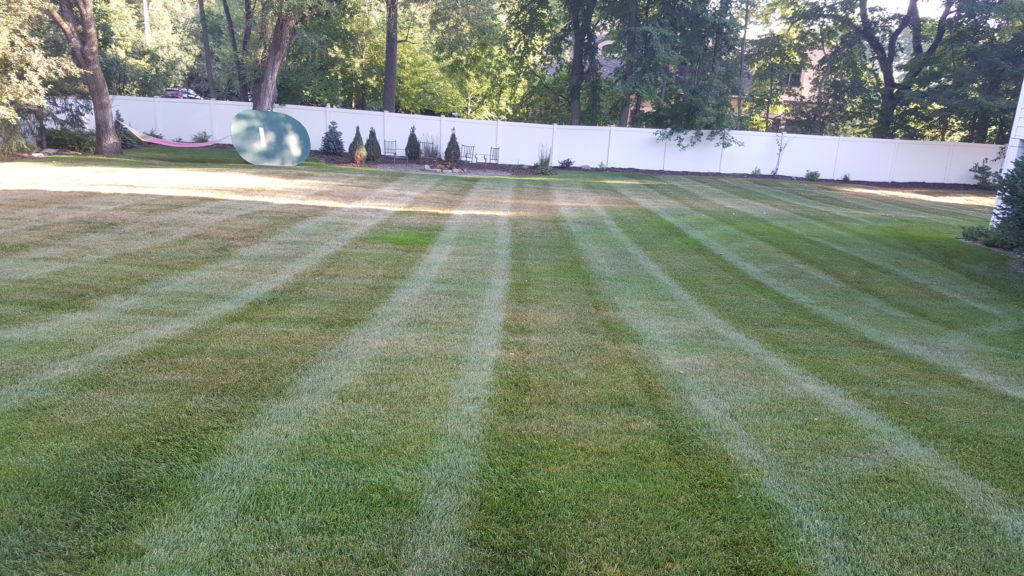 What Is The Best Spring Lawn Clean Up Service Near Me