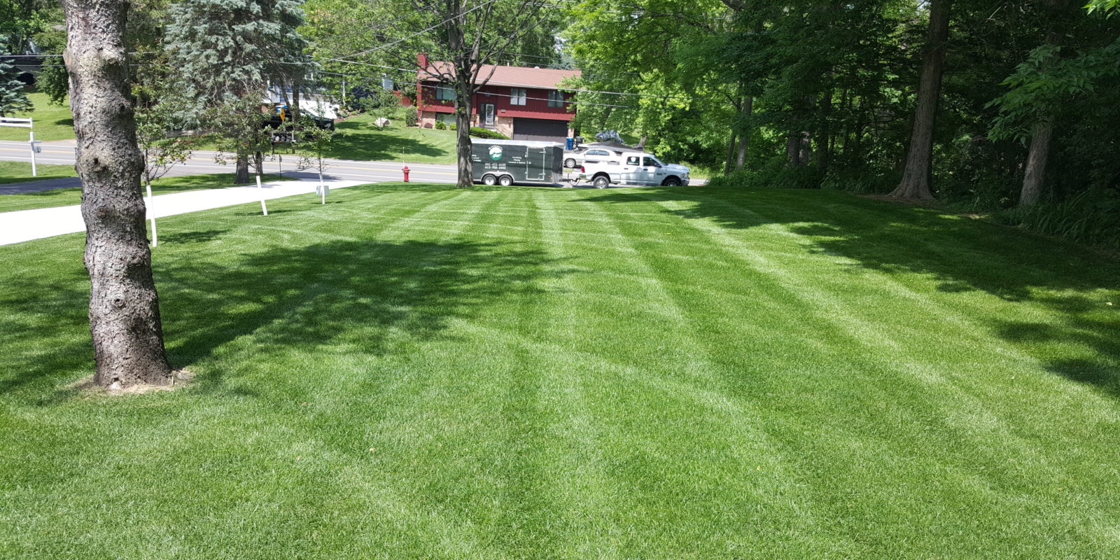Lawn care Minnetrista